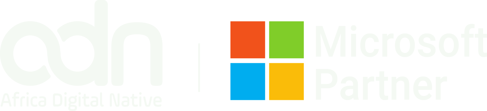 ADN Corp · Africa Digital Native · Microsoft Partner